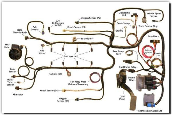 car engine wire harness