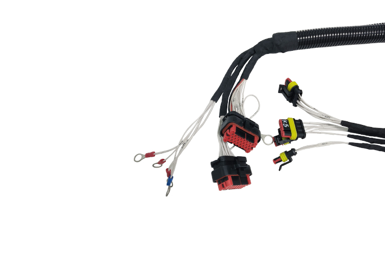 ECU Wire harness