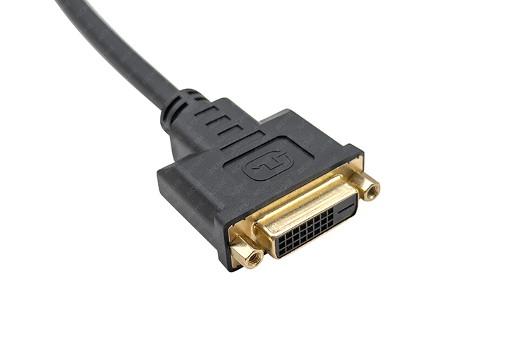 DVI Cable