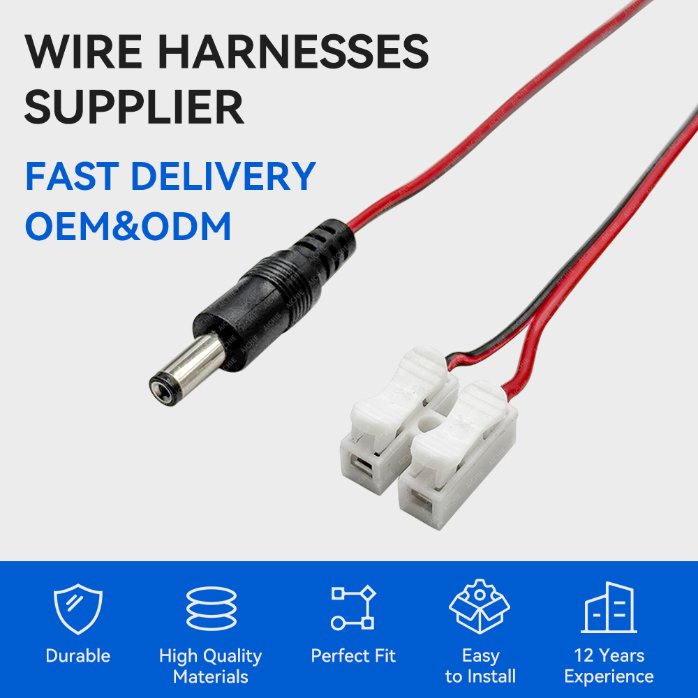 250V 2P CH-2 Push Wire LED Quick Connector to DC5521 cable