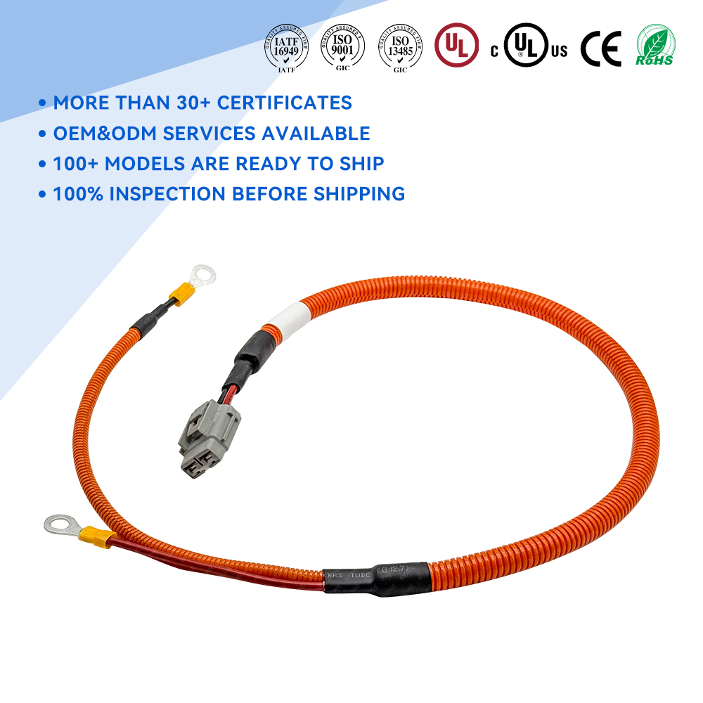 EV wiring harness EV wiring harness