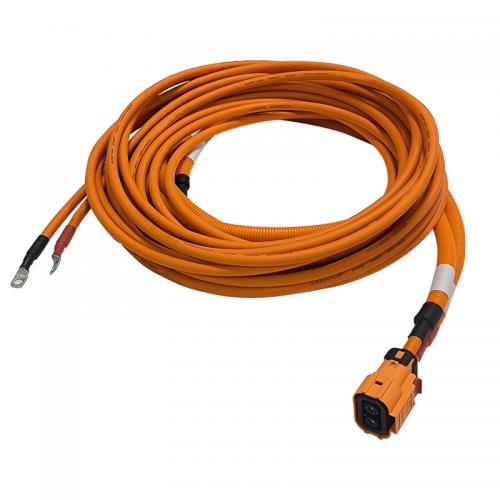 New Energy Vehicle Wire Harness