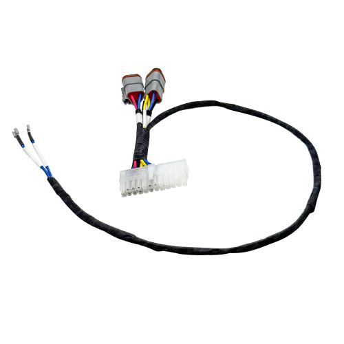 Delphi wire harness